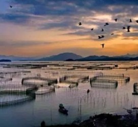 迁西伴游中国网景点丰富(旅游网介绍)