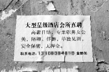 迁西珠海伴游雇用网(珠海游览社雇用信息)