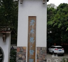 迁西关于伴游中国伴游你们伴得是什么游的信息