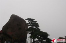 迁西上海伴游私家陪游雇用女模(上海伴游私家陪游雇用女模特)