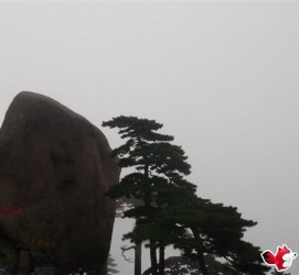 迁西上海伴游私家陪游雇用女模(上海伴游私家陪游雇用女模特)
