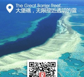 迁西中国250家旅行社结伴游新西兰(新西兰当地旅行社)