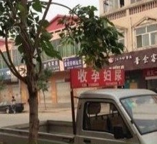 迁西上海伴游 用伴游造句大全(5