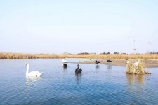 迁西南昌附近伴游小妹兼职(1534939978姐的微信德惠市)