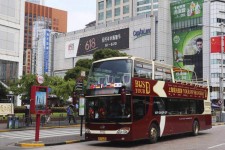 迁西上海私人伴游 上海过年怎么玩？这些“微游”线路了解下→