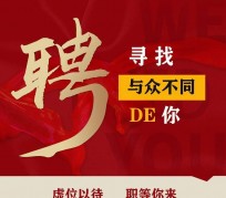 迁西商务伴游招聘 重庆星级酒店诚招司机服务员夜场保安