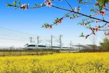 迁西高铁游(高铁游戏下载手机版)