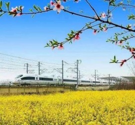 迁西高铁游(高铁游戏下载手机版)