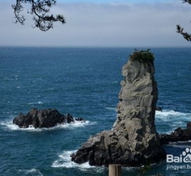 迁西旅游全攻略(上海旅游全攻略)