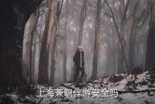 迁西上海私人伴游 上海伴游，上海兼职伴游安全吗
