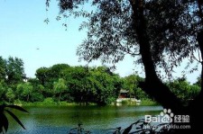 迁西西湖旅游攻略(上海到杭州西湖旅游攻略)