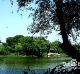 迁西西湖旅游攻略(上海到杭州西湖旅游攻略)