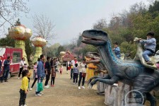 迁西中国伴游带你打卡网红南山竹海(南山竹海网上预约)