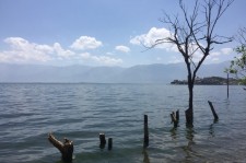 迁西洱海旅游攻略(洱海旅游攻略自由行)