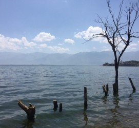 迁西洱海旅游攻略(洱海旅游攻略自由行)