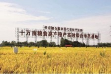 迁西关于成都商务伴游外围雇用的信息