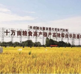 迁西关于成都商务伴游外围雇用的信息