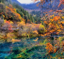 迁西四川旅游攻略(四川旅游攻略十五日游)