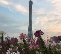 迁西广州旅游攻略(杭州到广州旅游攻略)