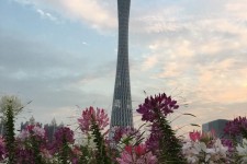 迁西广州旅游攻略(杭州到广州旅游攻略)