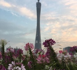 迁西广州旅游攻略(杭州到广州旅游攻略)