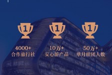 迁西上海私人伴游 ​ “小而美”的新时代：2020年国内新跟团消费报告