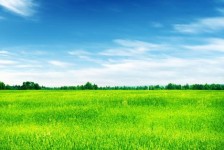 迁西上海伴游 上海模特伴游微信号的交友宣言