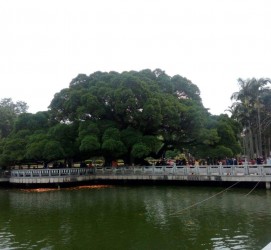 迁西福州旅游攻略(福州旅游攻略二日游)
