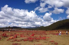 迁西旅游去处(暑期最好的旅游去处)