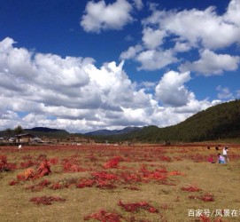 迁西旅游去处(暑期最好的旅游去处)