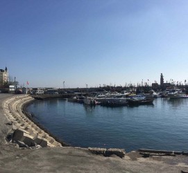 迁西大连旅游攻略(大连旅游攻略自由行)