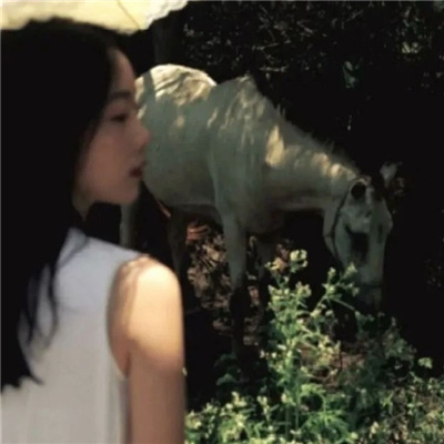 迁西私家伴游让你拥有一次完美的旅游体验