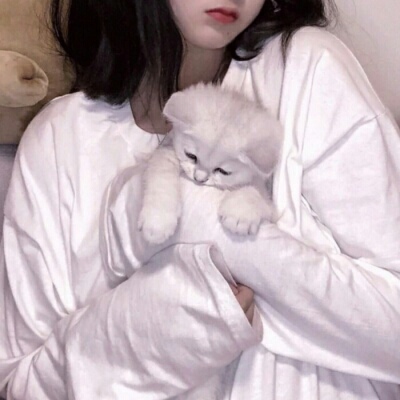 迁西伴游女生蕾鮑的资料